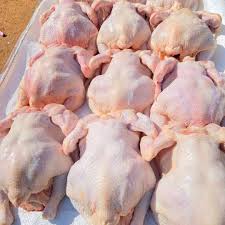 Slaughtered & Cleaned Broiler Chicken